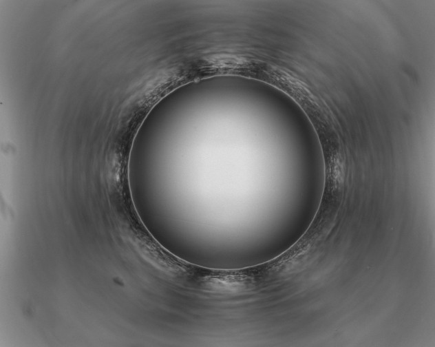 X0000091100567200708061422