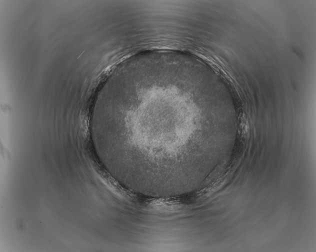 X0000091100568200708061422