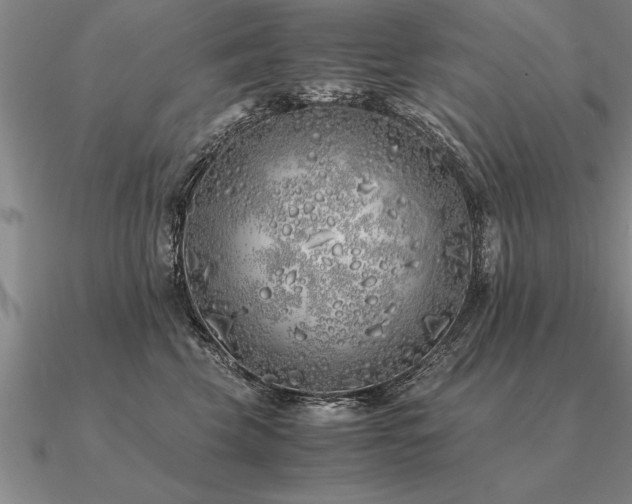 X0000091100569200708061422