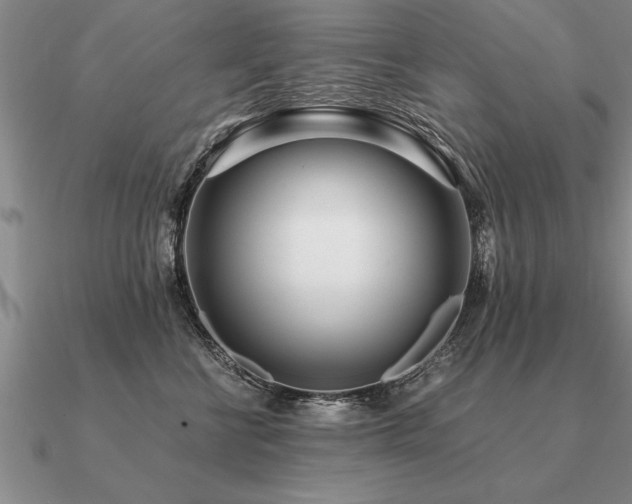 X0000091100570200708061422