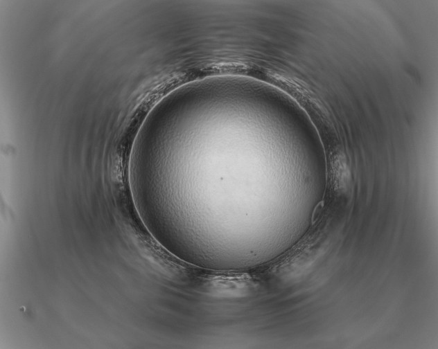 X0000091100571200708061422