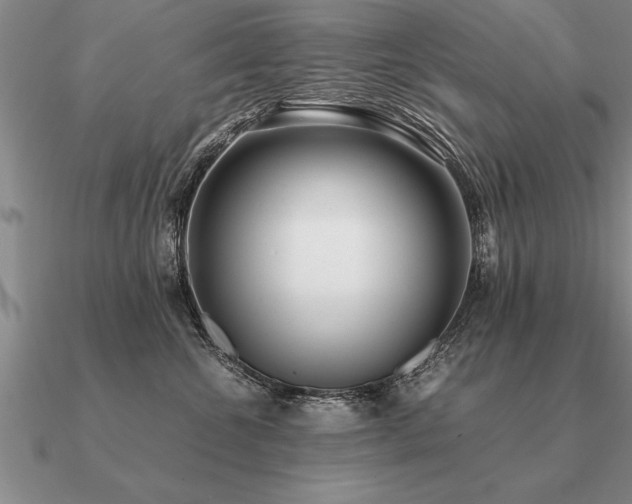 X0000091100572200708061422