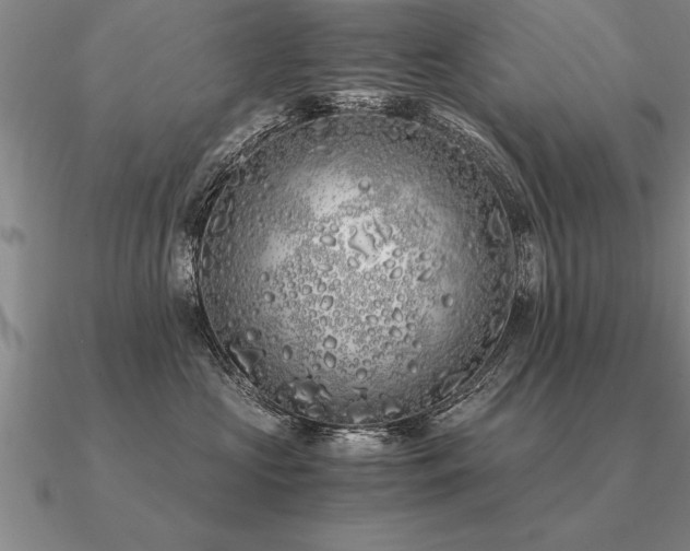 X0000091100573200708061422