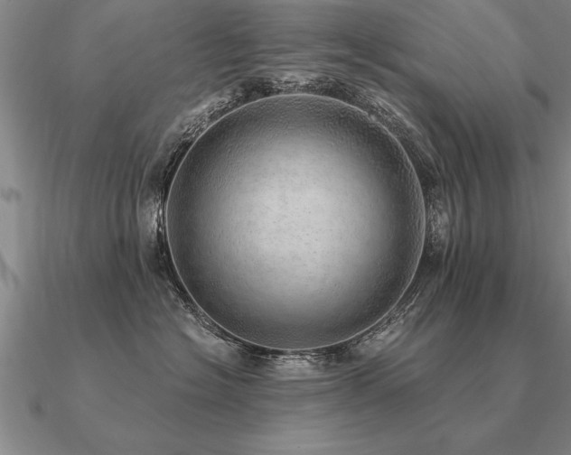 X0000091100574200708061422