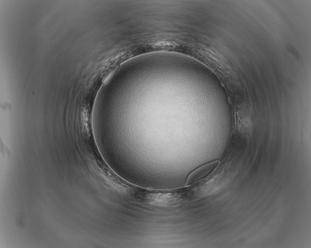 X0000091100575200708061422