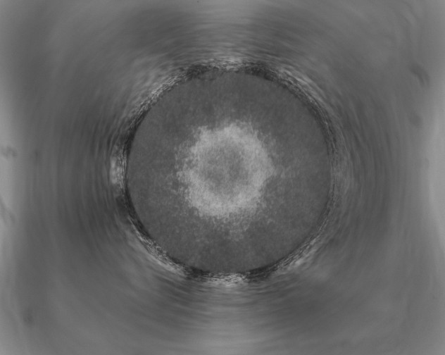 X0000091100576200708061422