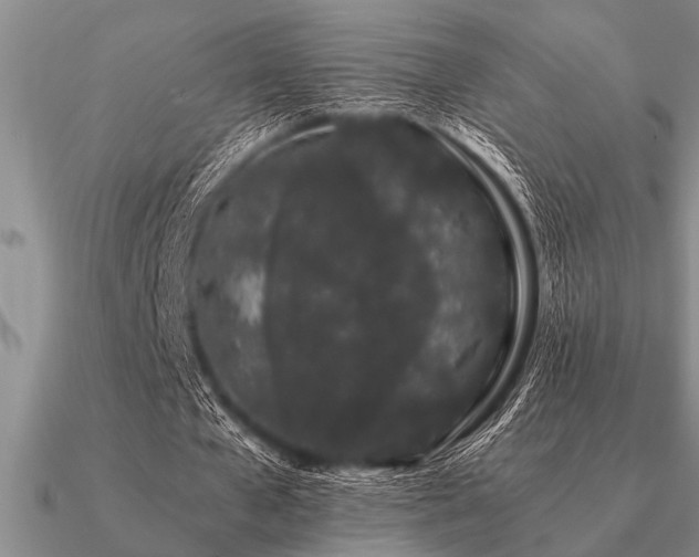 X0000091100577200708061422