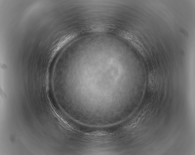 X0000091100578200708061422