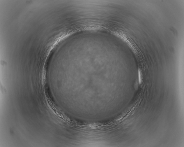 X0000091100579200708061422