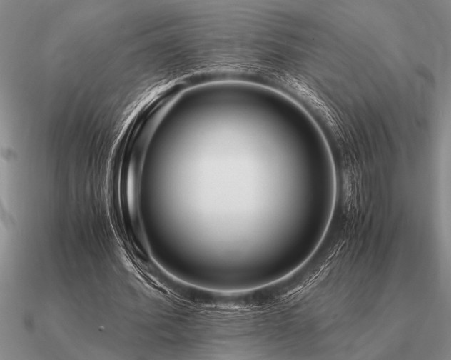 X0000091100580200708061422