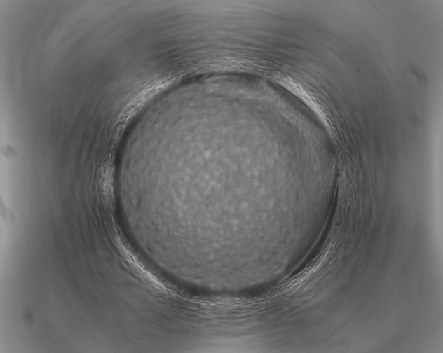 X0000091100581200708061422