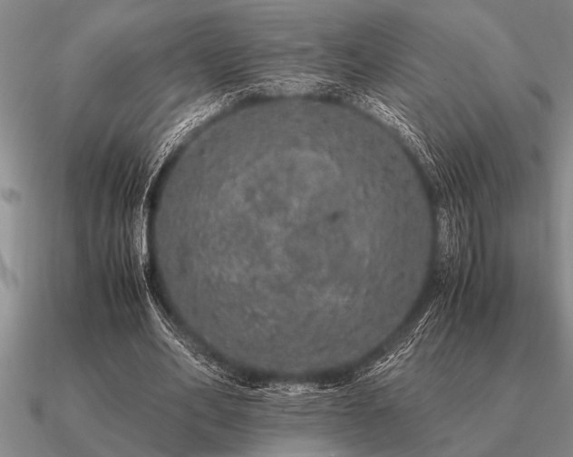 X0000091100582200708061422