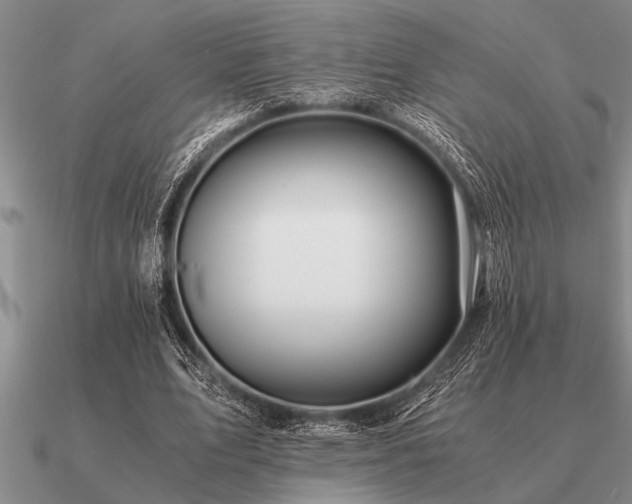 X0000091100583200708061422