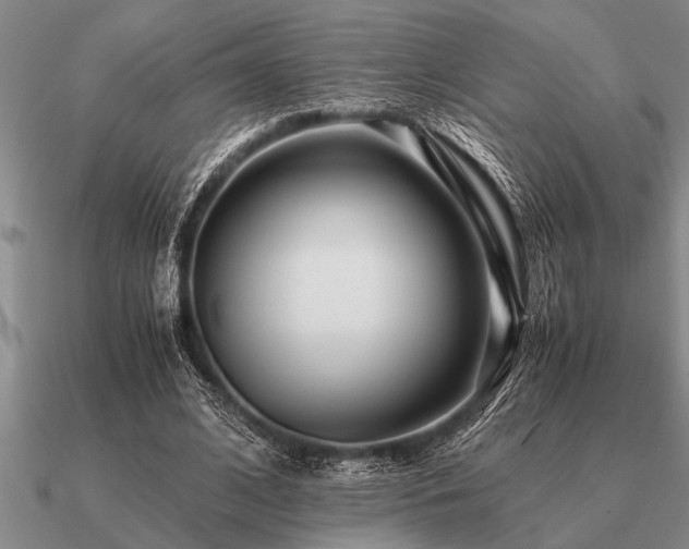 X0000091100584200708061421