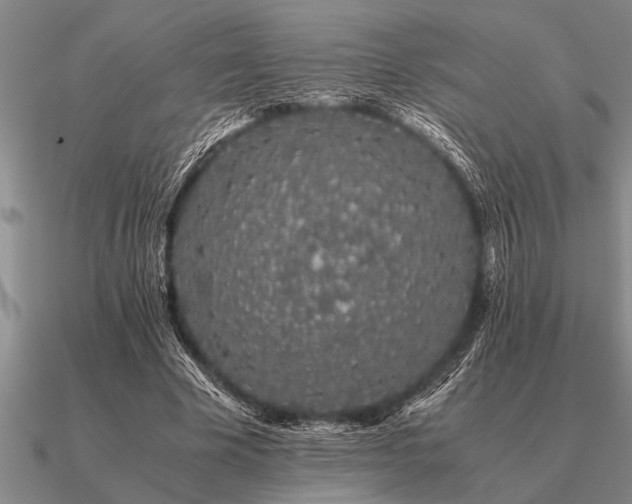 X0000091100585200708061421