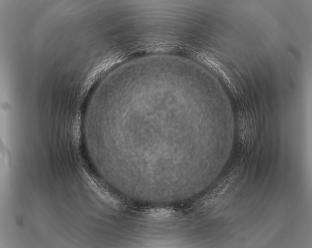 X0000091100586200708061421