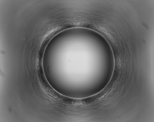 X0000091100587200708061421