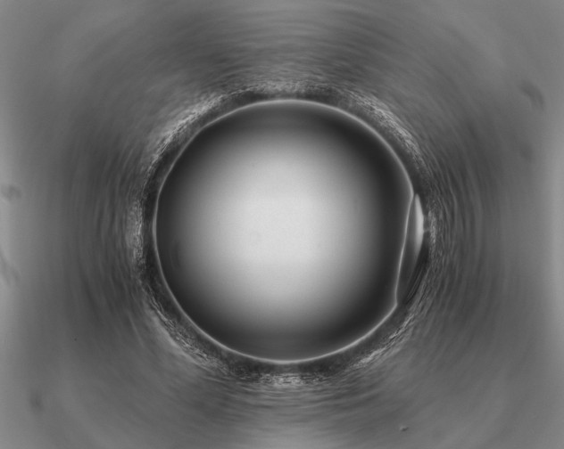 X0000091100588200708061421