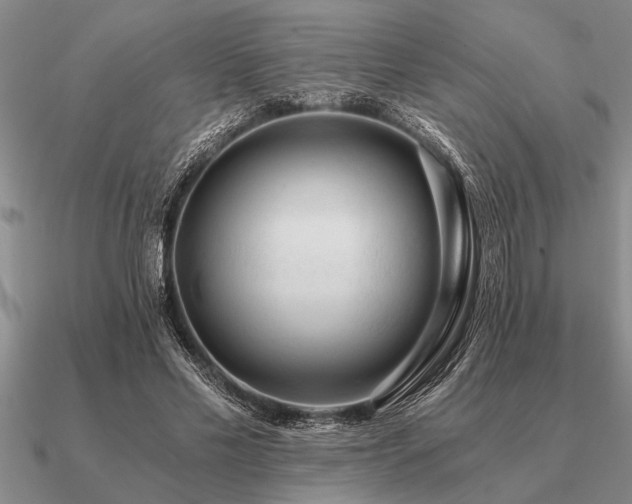 X0000091100589200708061421