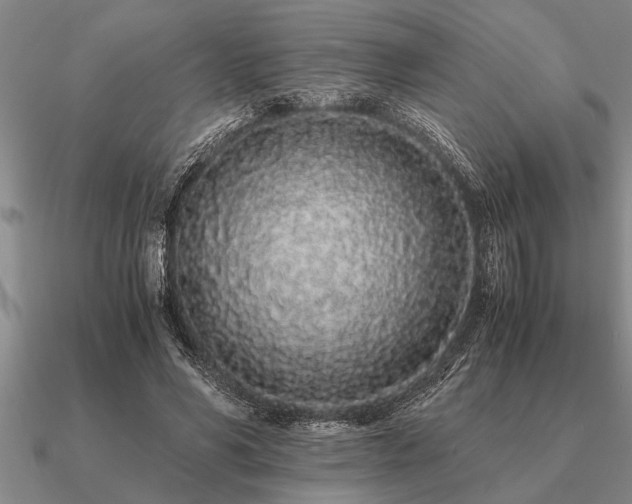 X0000091100590200708061421