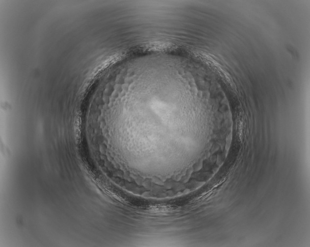 X0000091100591200708061421