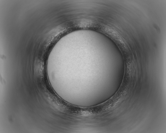 X0000091100592200708061421