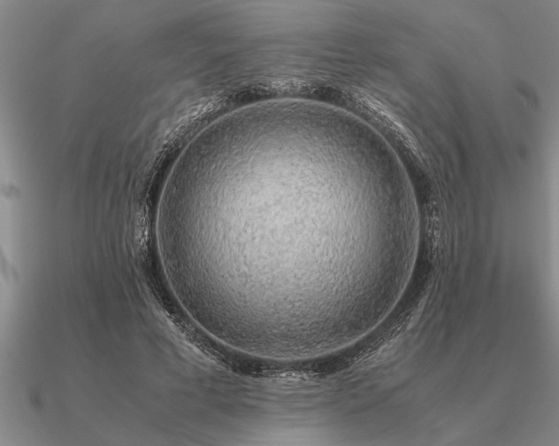 X0000091100593200708061421