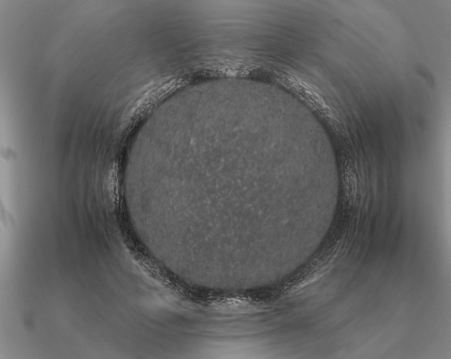 X0000091100594200708061421