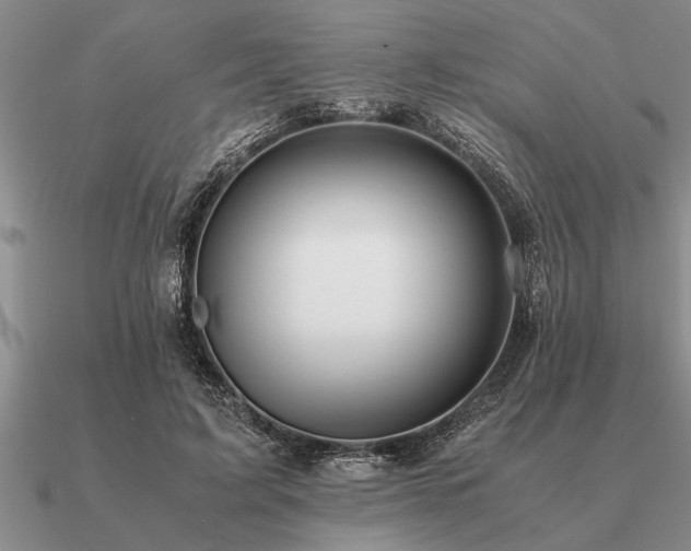 X0000091100595200708061421