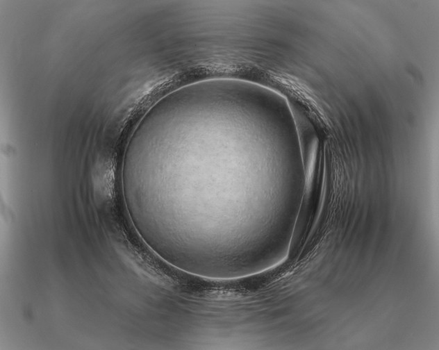 X0000091100596200708061421