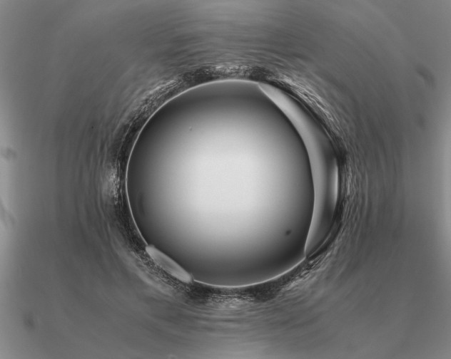 X0000091100597200708061421