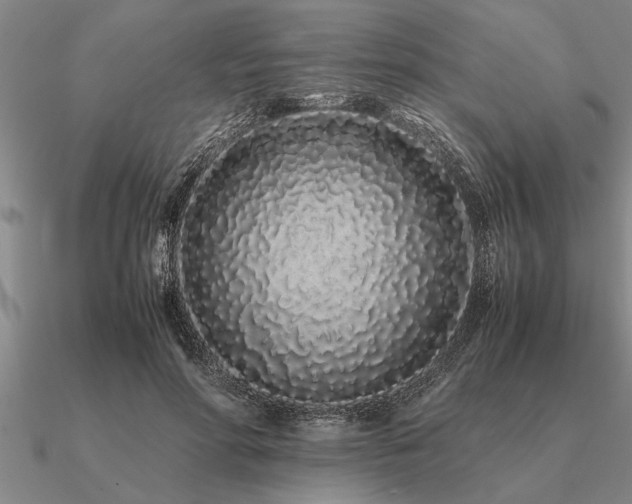 X0000091100598200708061421