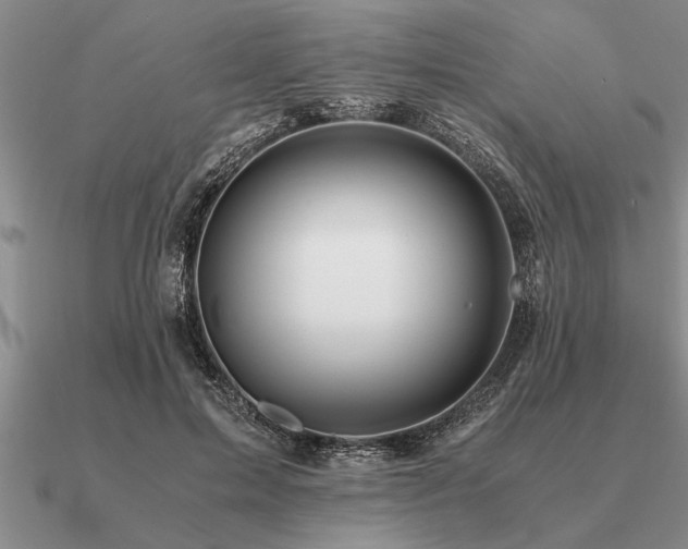 X0000091100599200708061421