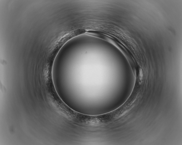 X0000091100600200708061421