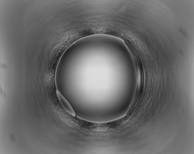 X0000091100601200708061421