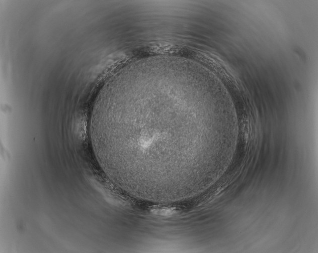 X0000091100602200708061421