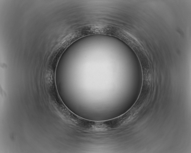 X0000091100603200708061421