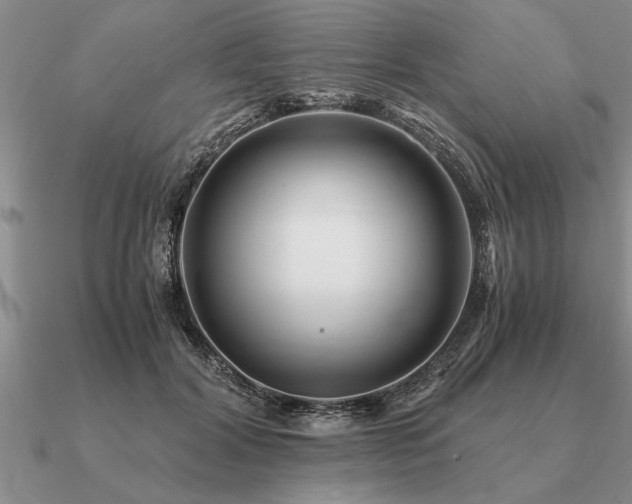 X0000091100604200708061421