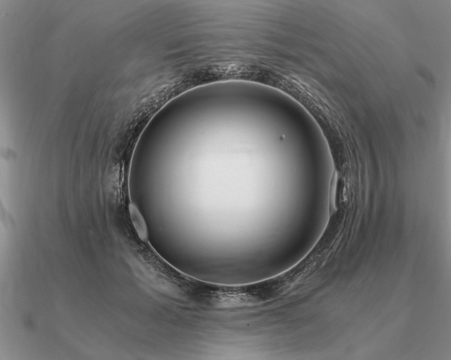 X0000091100605200708061421