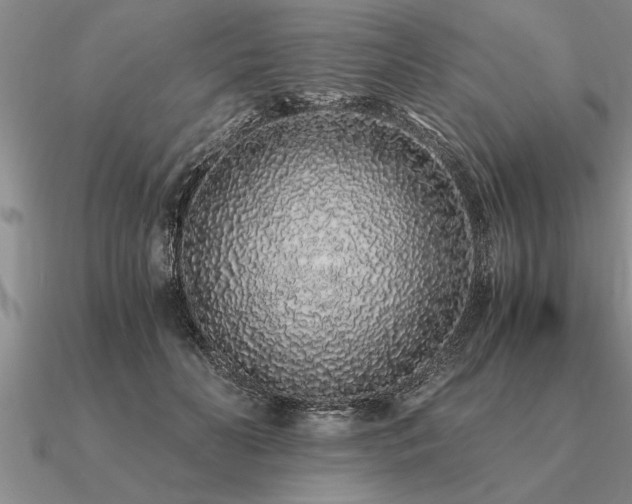 X0000091100606200708061421