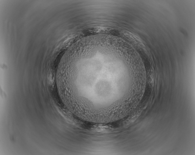 X0000091100607200708061421