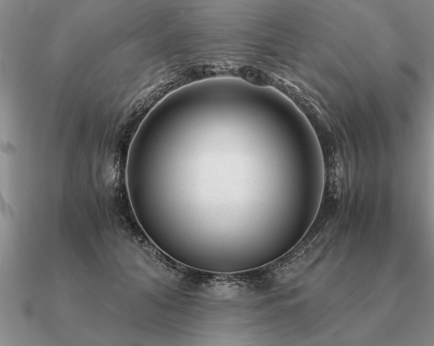 X0000091100608200708061421