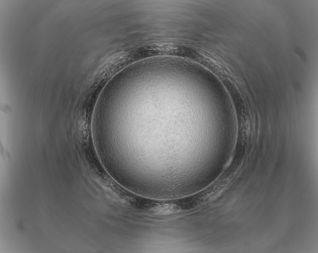 X0000091100609200708061421