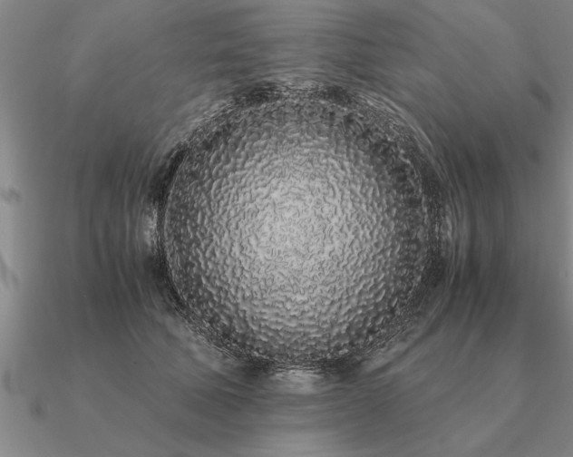 X0000091100610200708061421