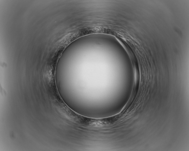 X0000091100611200708061421