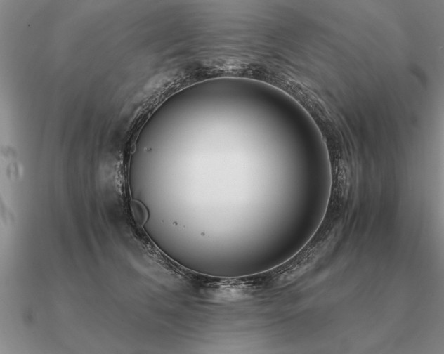 X0000091100612200708061421