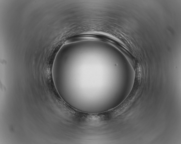 X0000091100613200708061421