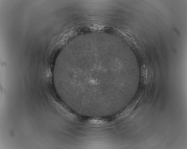 X0000091100614200708061421