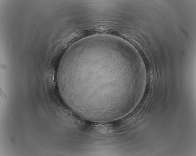 X0000091100615200708061421