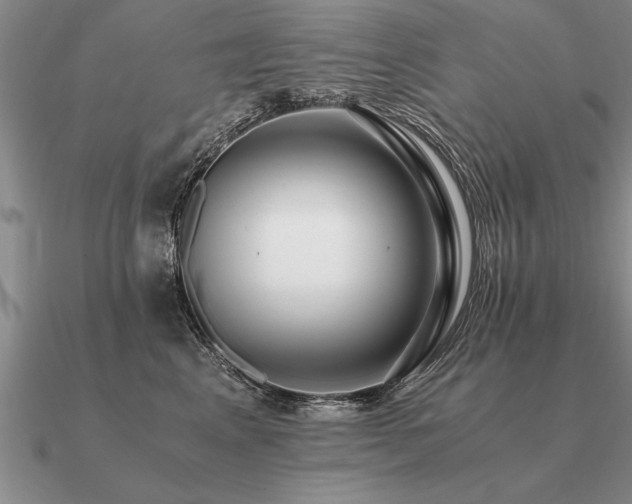 X0000091100617200708061421